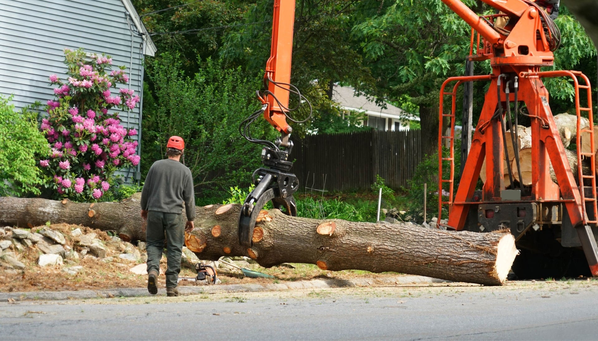 Local partner for Tree removal services in Oakland